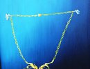 Ein himmlisches Collier und das R�tsel aus dem All